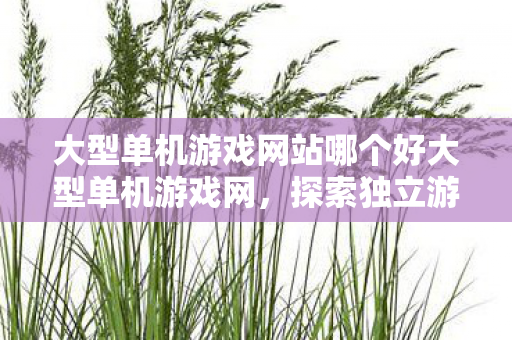 大型单机游戏网站哪个好大型单机游戏网，探索独立游戏的魅力与未来，探索独立游戏魅力与未来，大型单机游戏网推荐