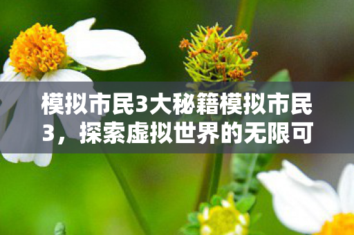 模拟市民3大秘籍模拟市民3，探索虚拟世界的无限可能，模拟市民3大秘籍，解锁虚拟世界的无限可能