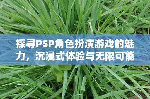 探寻PSP角色扮演游戏的魅力,沉浸式体验与无限可能,沉浸式体验与无限可能,探寻PSP角色扮演游戏的魅力 探寻PSP角色扮演游戏的魅力,沉浸式体验与无限可能,沉浸式体验与无限可能,探寻PSP角色扮演游戏的魅力