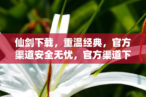 仙剑下载，重温经典，官方渠道安全无忧，官方渠道下载仙剑，重温经典安全无忧
