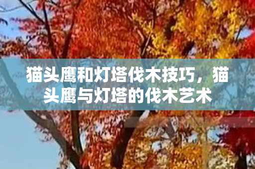 猫头鹰和灯塔伐木技巧，猫头鹰与灯塔的伐木艺术