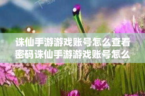 诛仙手游游戏账号怎么查看密码诛仙手游游戏账号怎么查看图片