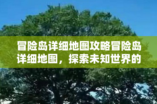 冒险岛详细地图攻略冒险岛详细地图，探索未知世界的奇妙之旅，冒险岛详细地图攻略，探索未知世界的奇妙之旅