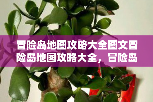 冒险岛地图攻略大全图文冒险岛地图攻略大全图片