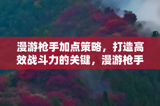 漫游枪手加点策略，打造高效战斗力的关键，漫游枪手加点策略，打造高效战斗力的关键