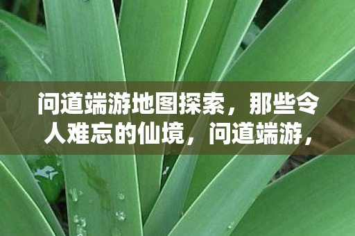 问道端游地图探索，那些令人难忘的仙境，问道端游，探索仙境，令人难忘的地图之旅