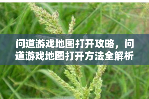 问道游戏地图打开攻略,问道游戏地图打开方法全解析 问道游戏地图打开攻略,问道游戏地图打开方法全解析