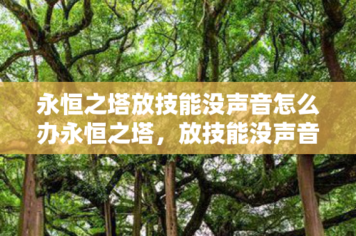 永恒之塔放技能没声音怎么办永恒之塔，放技能没声音，背后的游戏与音频问题解析，永恒之塔放技能没声音，游戏与音频问题解析