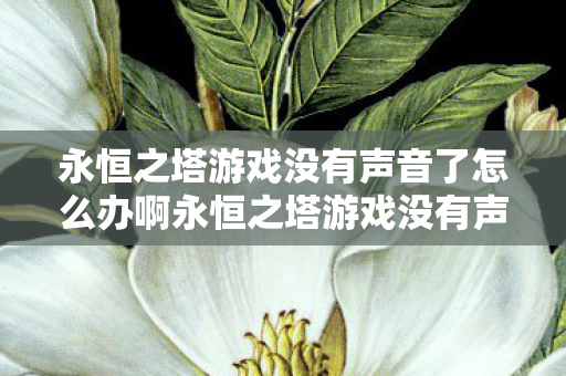 永恒之塔游戏没有声音了怎么办啊永恒之塔游戏没有声音了怎么办图片