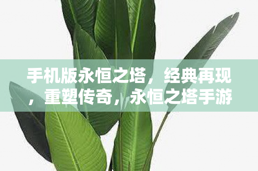 手机版永恒之塔，经典再现，重塑传奇，永恒之塔手游，重塑经典，传奇再现