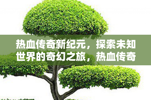 热血传奇新纪元,探索未知世界的奇幻之旅,热血传奇新纪元,探索未知世界的奇幻之旅 热血传奇新纪元,探索未知世界的奇幻之旅,热血传奇新纪元,探索未知世界的奇幻之旅