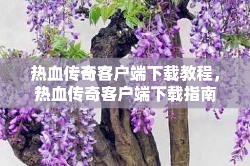 热血传奇客户端下载教程图片