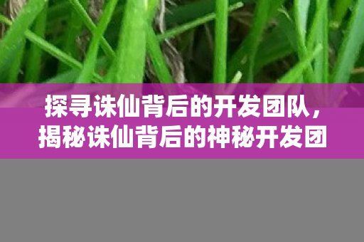 探寻诛仙背后的开发团队，揭秘诛仙背后的神秘开发团队