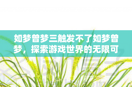 如梦曾梦三触发不了如梦曾梦，探索游戏世界的无限可能，探索游戏世界，如梦曾梦三触发不了，解锁无限可能