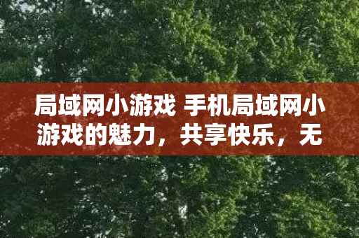 局域网小游戏 手机局域网小游戏的魅力，共享快乐，无需网络，手机局域网小游戏，共享快乐，无需网络