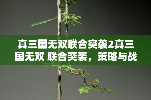 真三国无双联合突袭2真三国无双 联合突袭，策略与战斗的完美融合，真三国无双联合突袭2，策略与战斗的完美融合
