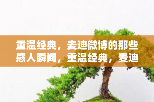 重温经典，麦迪微博的那些感人瞬间，重温经典，麦迪微博感人瞬间回顾