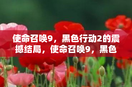 使命召唤9，黑色行动2的震撼结局，使命召唤9，黑色行动2震撼结局揭晓