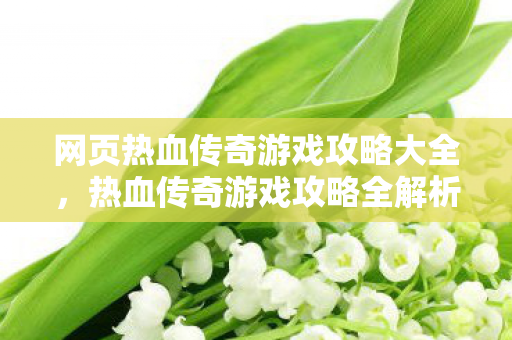 网页热血传奇游戏攻略大全图片