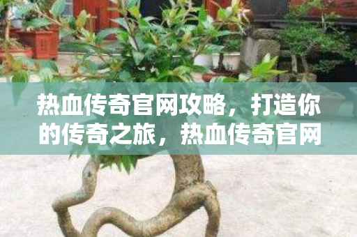 热血传奇官网攻略图片