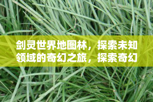 剑灵世界地图林,探索未知领域的奇幻之旅,探索奇幻之旅,揭秘剑灵世界地图林 剑灵世界地图林,探索未知领域的奇幻之旅,探索奇幻之旅,揭秘剑灵世界地图林