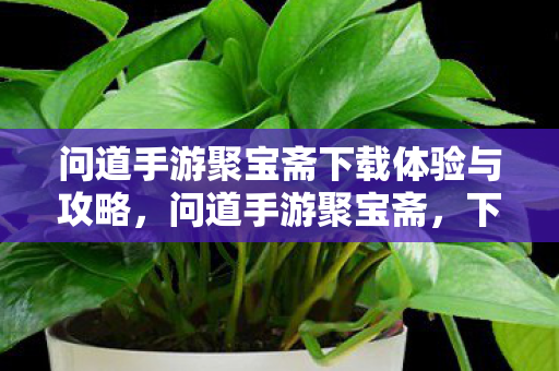问道手游聚宝斋下载体验与攻略图片