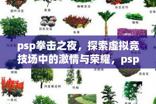 psp拳击之夜，探索虚拟竞技场中的激情与荣耀，psp拳击之夜，虚拟竞技场中的激情与荣耀