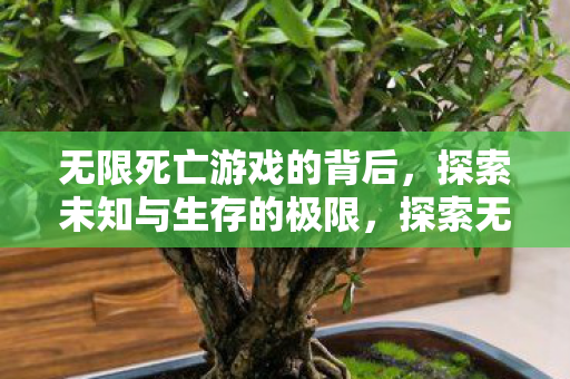 无限死亡游戏的背后，探索未知与生存的极限，探索无限死亡游戏的背后，未知与生存的极限