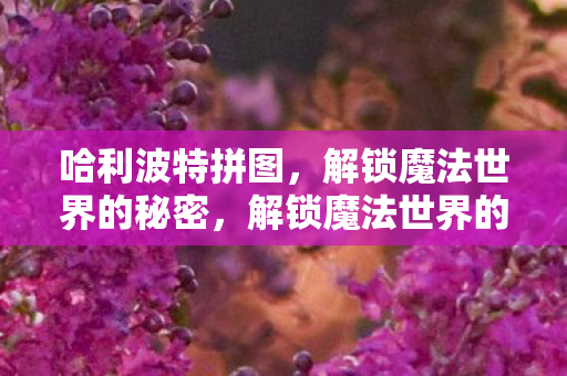 哈利波特拼图,解锁魔法世界的秘密,解锁魔法世界的秘密,哈利波特拼图 哈利波特拼图,解锁魔法世界的秘密,解锁魔法世界的秘密,哈利波特拼图