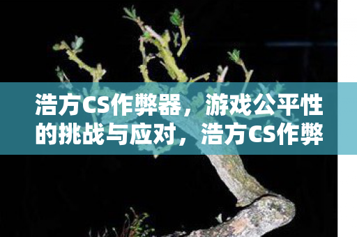 浩方CS作弊器,游戏公平性的挑战与应对,浩方CS作弊器,游戏公平性的挑战与应对策略 浩方CS作弊器,游戏公平性的挑战与应对,浩方CS作弊器,游戏公平性的挑战与应对策略