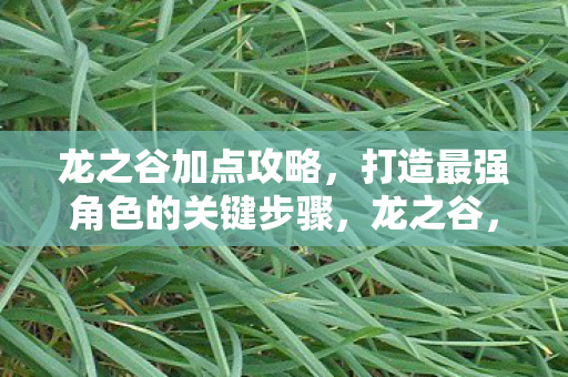 龙之谷加点攻略，打造最强角色的关键步骤，龙之谷，打造最强角色，关键步骤的加点攻略