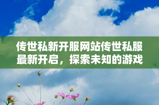 传世私新开服网站传世私服最新开启图片