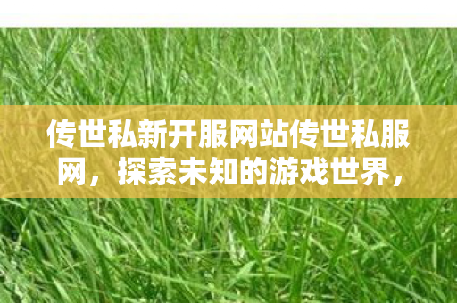 传世私新开服网站传世私服网图片