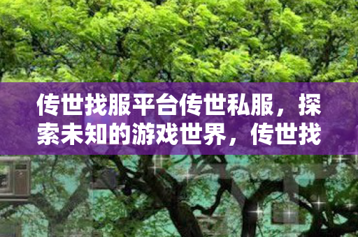 传世找服平台传世私服图片
