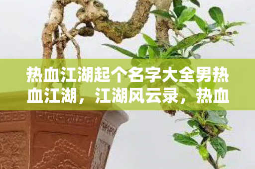 热血江湖起个名字大全男热血江湖,江湖风云录,热血江湖男性角色名字大全 热血江湖起个名字大全男热血江湖,江湖风云录,热血江湖男性角色名字大全