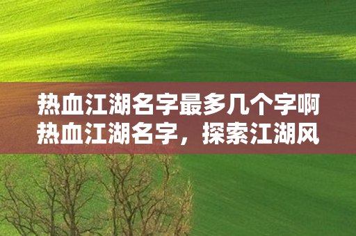 热血江湖名字最多几个字啊热血江湖名字，探索江湖风云，领略武侠魅力，热血江湖名字最多几个字？探索江湖风云，领略武侠魅力