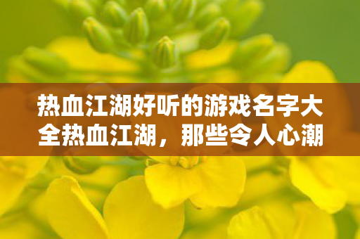 热血江湖好听的游戏名字大全热血江湖,那些令人心潮澎湃的游戏名字,热血江湖,令人心潮澎湃的游戏名字大盘点 热血江湖好听的游戏名字大全热血江湖,那些令人心潮澎湃的游戏名字,热血江湖,令人心潮澎湃的游戏名字大盘点