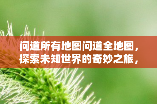 问道所有地图问道全地图，探索未知世界的奇妙之旅，探索未知世界的奇妙之旅，问道全地图