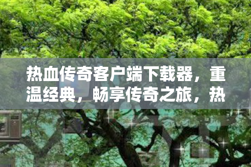 热血传奇客户端下载器图片