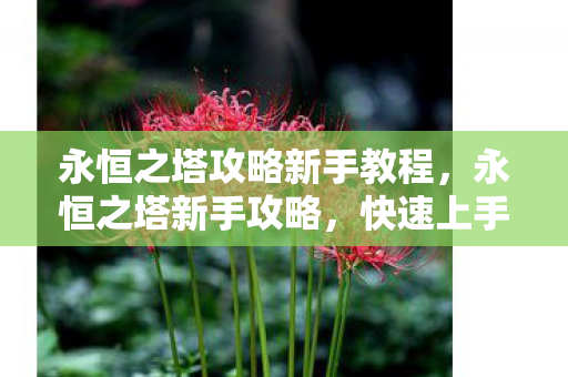 永恒之塔攻略新手教程图片