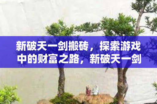 新破天一剑搬砖,探索游戏中的财富之路,新破天一剑搬砖攻略,探索游戏中的财富之路 新破天一剑搬砖,探索游戏中的财富之路,新破天一剑搬砖攻略,探索游戏中的财富之路