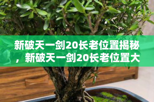 新破天一剑20长老位置大揭秘图片