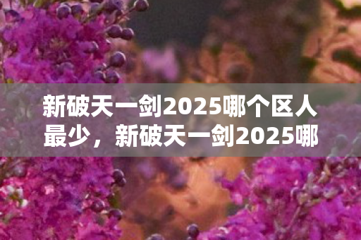 新破天一剑2025哪个区人最少图片