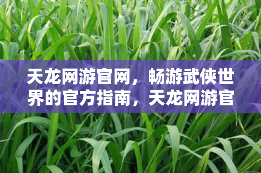 天龙网游官网,畅游武侠世界的官方指南,天龙网游官网,畅游武侠世界的官方指南 天龙网游官网,畅游武侠世界的官方指南,天龙网游官网,畅游武侠世界的官方指南