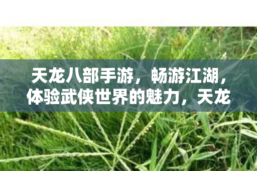 体验武侠世界的魅力图片