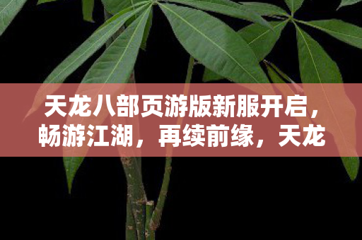 天龙八部页游版新服开启，畅游江湖，再续前缘，天龙八部页游版新服开启，续写江湖情缘