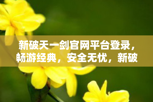 新破天一剑官网平台登录图片