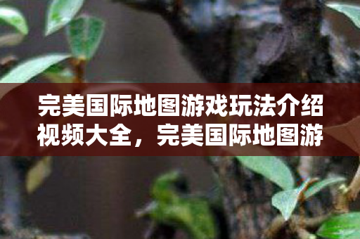完美国际地图游戏玩法介绍视频大全图片