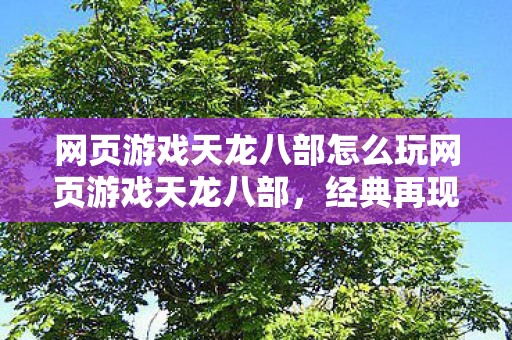 网页游戏天龙八部怎么玩网页游戏天龙八部，经典再现，情怀永存，经典再现！天龙八部网页游戏攻略来袭