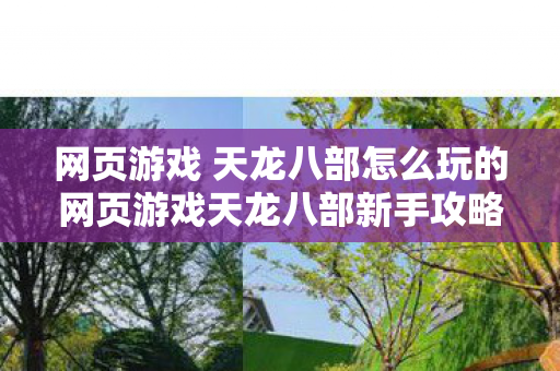 网页游戏 天龙八部怎么玩的网页游戏天龙八部新手攻略图片